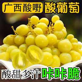 广西灵山特产酸野特色酸嘢小吃酸李子腌萝卜腌制葡萄甘草橄榄零食