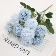 ���滨õ��ĵ��������ռҾ��bٻ��[����Y�Ĕz�������컨����