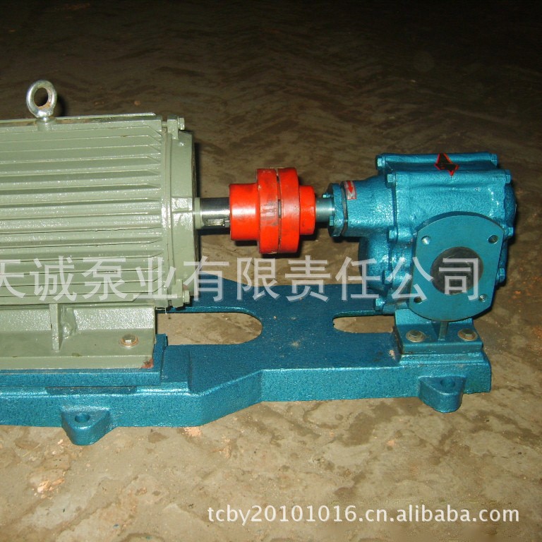 齿轮泵2CY18 不锈钢泵 高压泵 食品泵 船用泵 润滑泵