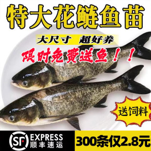 ���������~�絭ˮ�~���Bֳʳ�ô��^�~���^�~���w���I�~ι�����~��