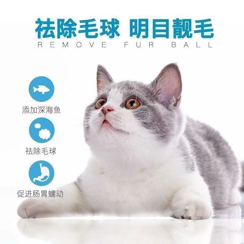 キャットフード 一般 送料無料 5斤 5kg 成猫 大袋 卸売 海魚風味 肥育 無家檐猫フード 0.5kg|undefined