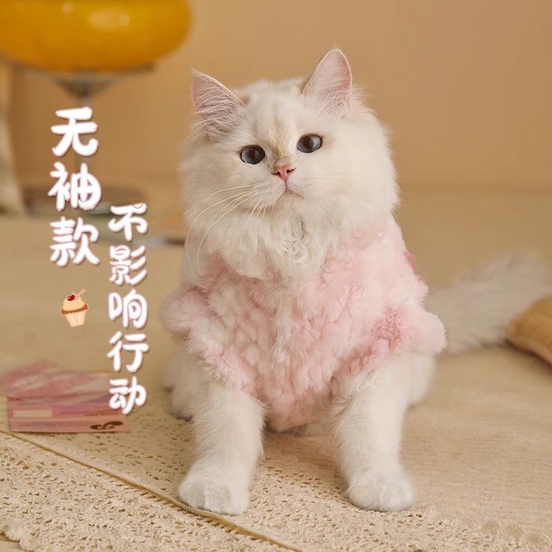 Зимняя теплая одежда для кошек Кот-поводырь