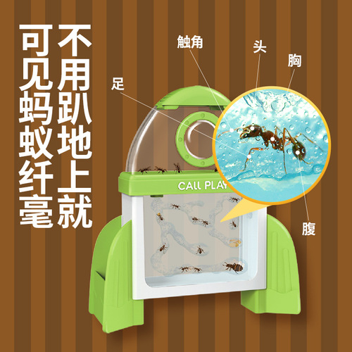 Koda duck ant workshop villa home castle ecological student ant nest manor live humpback ant box