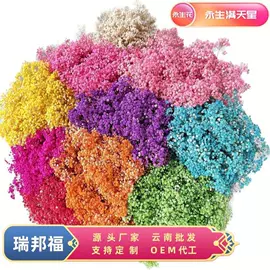 永生花;鲜花花艺制品;干花
