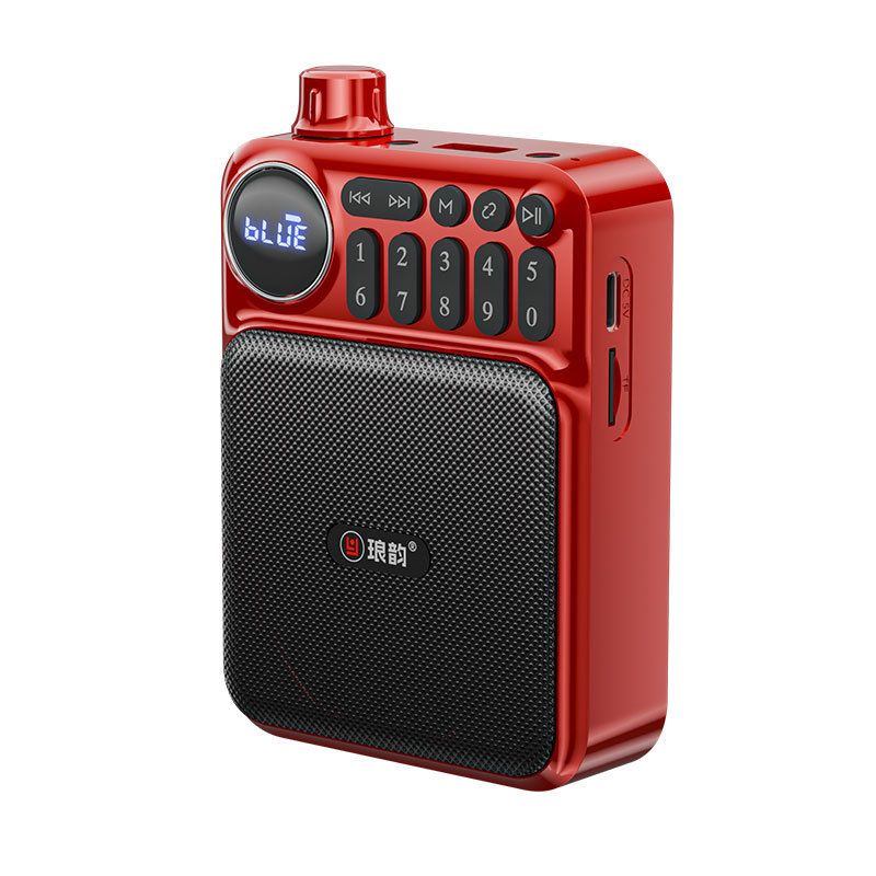 Langyun C75 Bluetooth カードオーディオラジオ高齢者ウォークマンミニポータブルプレーヤー充電式|undefined