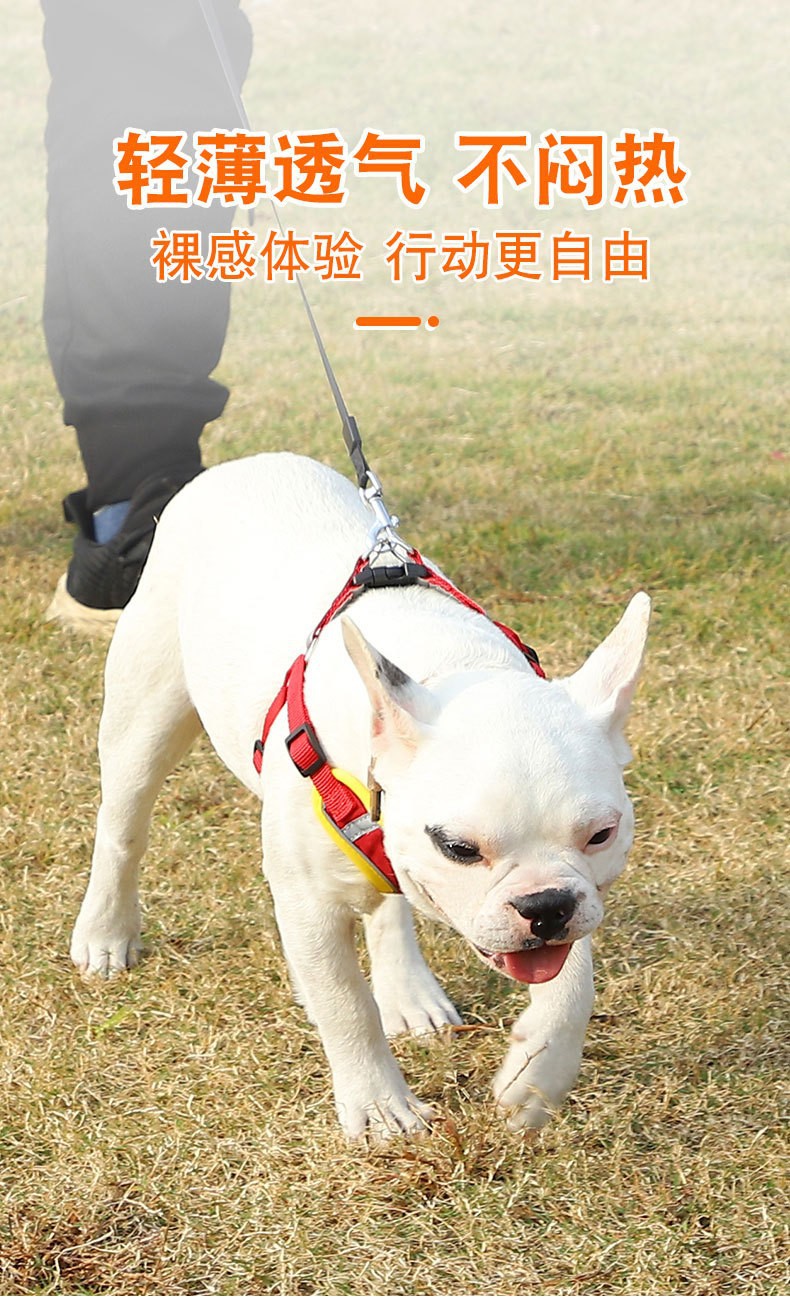 O1CN01AIa6Q01adGLAk0uYg_!!2206