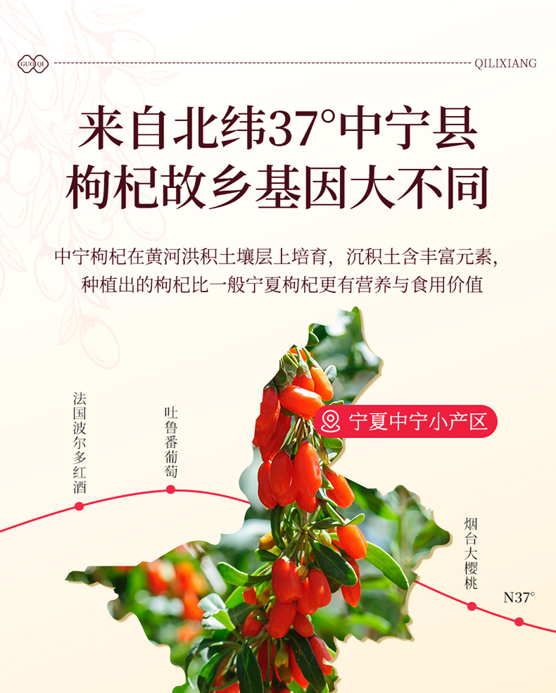 Goji Berry Gift Box 15 Jars 300g Ningxia Large Grade Ready to Eat Wolfberry quality and texture