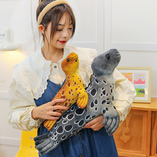 �羳�������Z�������ׄ���ë�q��߿�ͨ���Ѓ�ͯ�ɐ���ż�������l