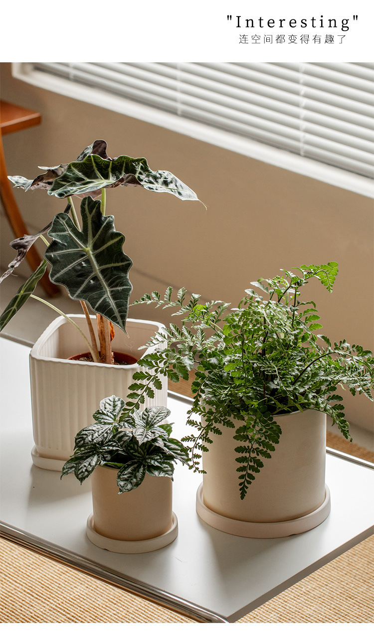 51a90af4-0fb1-487f-9a1c-22ec1746a076.jpe