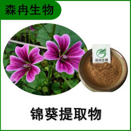 锦葵提取物10:1 刑葵浓缩粉 比例萃取 植物提取原料粉 水溶