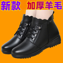 ƤëѥŮƤЬƽƤѥӺꋌѥ¿ů