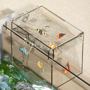 Sea tank external algae box seedling fish tank transparent external isolation algae tank Peacock incubation micro tank aquarium hanging outside