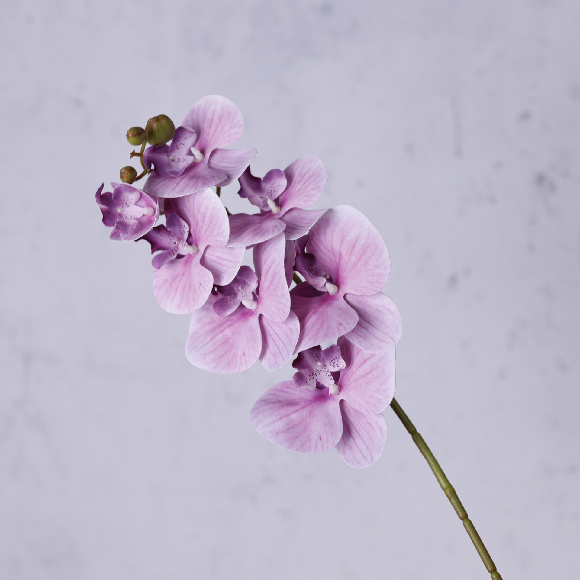 Impresión 3D de 7 cabezas de orquídeas mariposa flor de decoración de flores de alto nivel flor de nicho decoración floral decoración de sala de estar