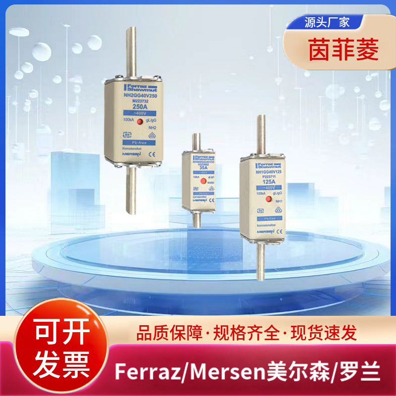 美尔森/罗兰熔断器NH000GG40V2 NH000GG40V4 NH000GG40V6