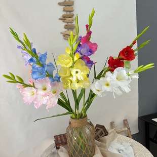 ��Ʒ�|���愦�m���ָ��z���ٻ��߼��Ј����b�Y��ز廨�[��