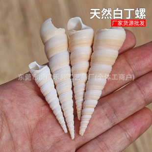 ��Ȼؐ������ ����ݼ��F�� DIY�~���쾰�Ҿ��b���С�׶����l
