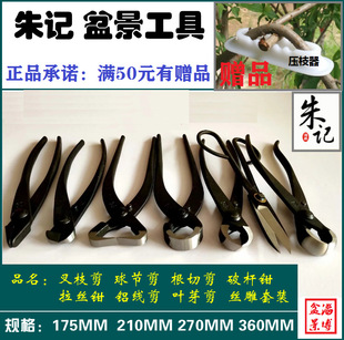 ��ӛ�辰�������� ��� �~ѿ ��֦ �X�� ���� �ƗU�� ���z�Q