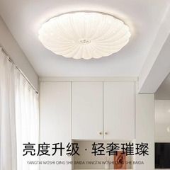 寝室の明かりの現代の簡単な客間の明かりの暖かい主な寝室の部屋の明かりのベランダの廊下の照明器具の大全ledは明かりを吸い込みます。