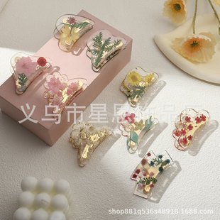 �羳���N �¿��滨�r���Rβ�l�A �����黨���X�׊Ains�L �����ֹ�