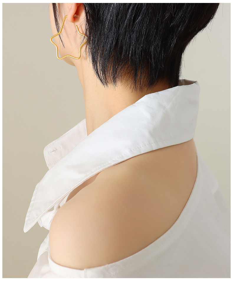 Fashion star titanium steel earrings