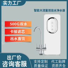 净水机ro反渗透饮水机 大流量500G双出水无桶纯水机 家用净水器