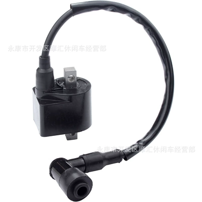 High-Voltage Ignition Coil Suitable Other power supply, ignition system