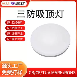 应急指示灯具;LED电源;吸顶灯