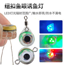 小鱼眼带鱼水下诱鱼灯集鱼灯夜钓防水LED纽扣聚鱼灯海钓器引鱼器
