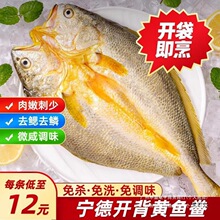 �_���S�~��400g���®a�S���~���r����⚢���ƴ��S�~���Ʒ����