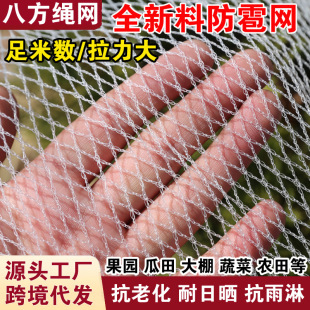 �����W���B�W �O���@���ш@���B�Wȫ���Ͽ��������W�r��@ˇ���B