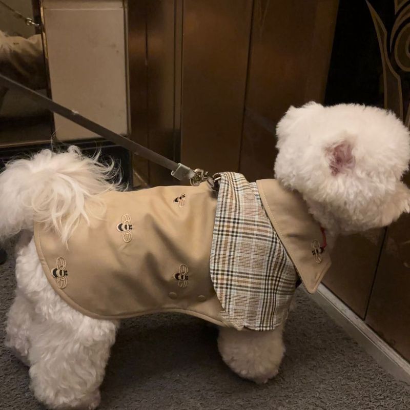 宠物衣服四季复古侦探斗篷英伦领带格子披风中小型犬狗狗|undefined