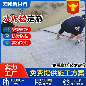 Canal Creaming Cement Cement Slope Shropethipling Желеприменение бетон цементного ковров