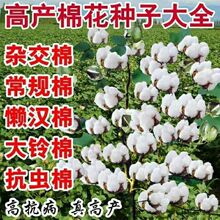 �½��޻��N�� �߮a�އ������x�޻��N�Ӹ߮a �����s���޴�����ؼ�