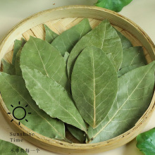 广西香叶个大色绿月桂叶去腥解腻提味增香500g装香辛料调味料大全