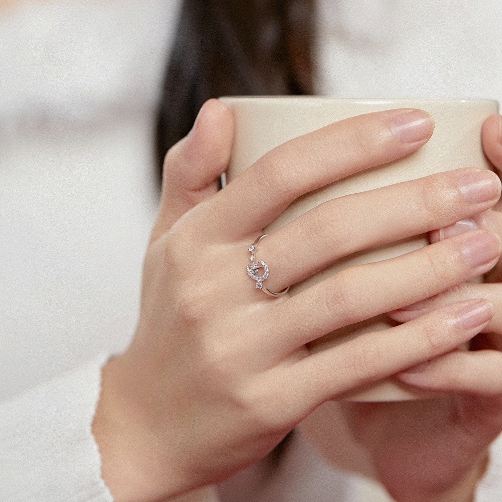Fashion Moon Sterling Silver Inlay Zircon Rings