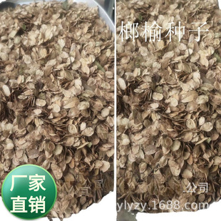 ���l���~��ľ�^�~�е��� ���ܘ�N�� С�~�ܘ�G�������o�·N��