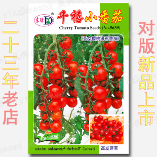 ǧ��С���ѷN�ӷۼtɫ����С���t����Ҏ�N���ļ�ˮ���߲˷N���ѷN