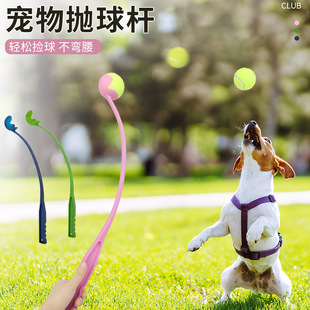 �羳������߹�������U����W��Ӗ���␞���ӹ���ߒ��S������