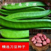 tNӸ߮aⶹNѵ嶹NӰٶǷN