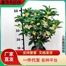 һ�����l�ļ��𻨘����ͺ������̨�𵤹�����ͥԺ�Ϙ������ͻ���