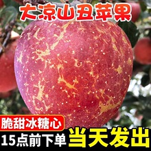 大凉山包邮整箱萍果红富士四川丑苹果冰糖心盐源苹果新鲜水果当季