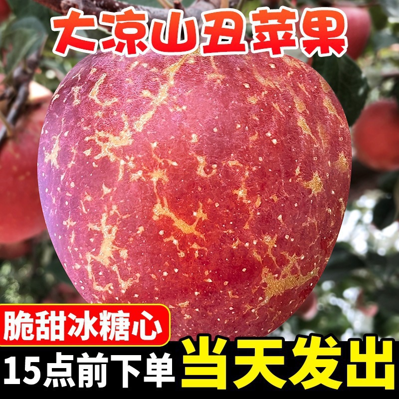大凉山包邮整箱萍果红富士四川丑苹果冰糖心盐源苹果新鲜水果当季