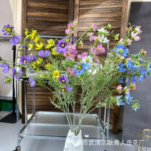 ����ֲ�q�ǿղ�˹�ո�ɣ���滨��c��Y���߻�ˇ�ҾӾƵ��b����l