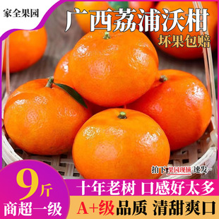 �V���ָ����r�������ӕr��ˮ�����ӑ���ˮ����֭�ָ�ֱ��һ�����l