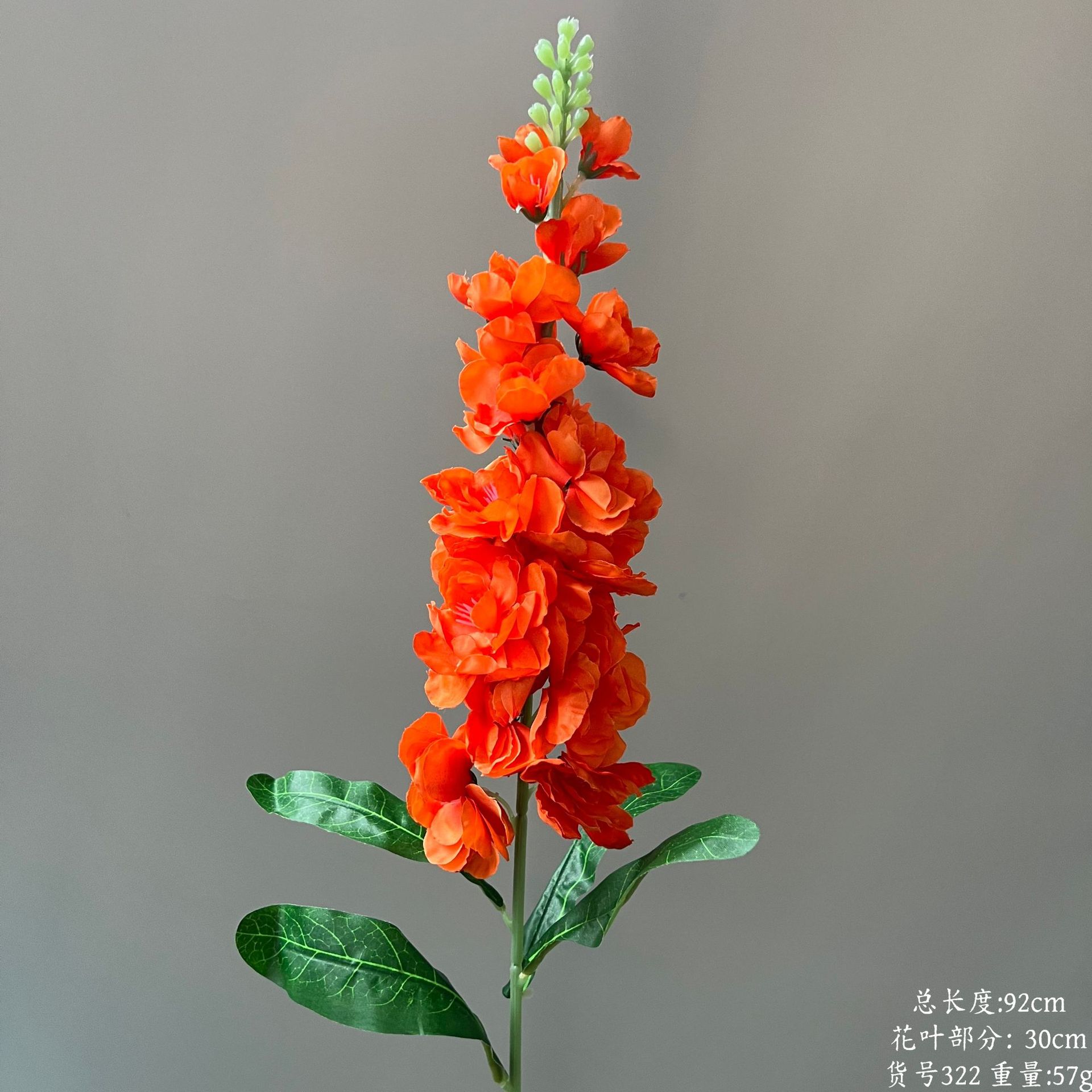 품목번호 322-단일 Feiyan-