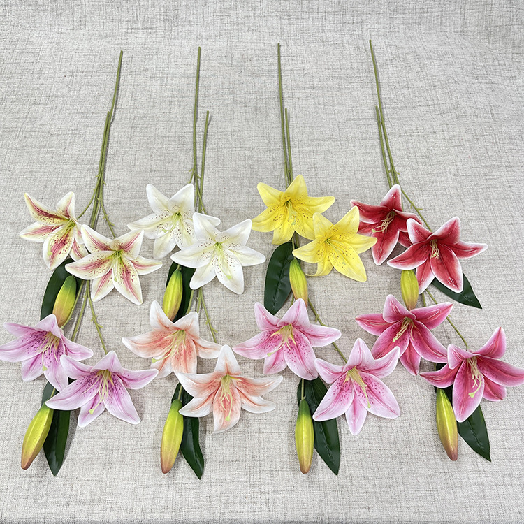 林溪郡 主图.JPG