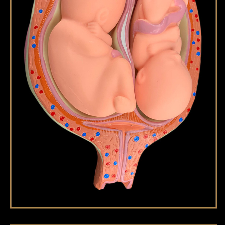 O1CN01DRIVY12Kk6XkDcXRW_!!3578