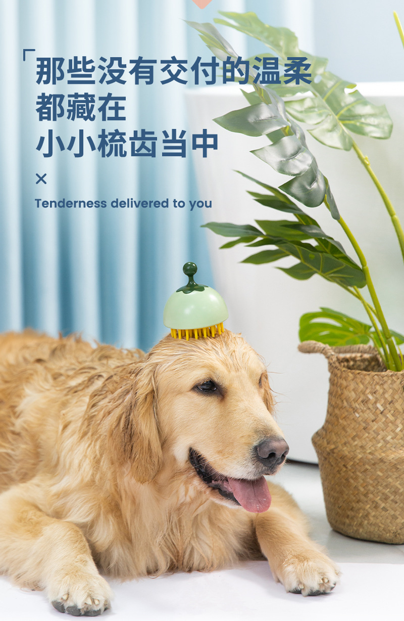 狗狗洗发梳_11.jpg
