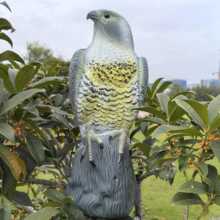 ���Sֱ�N ���ښW�����B�T�D�aƷ����������B�C���B�D������ eagl