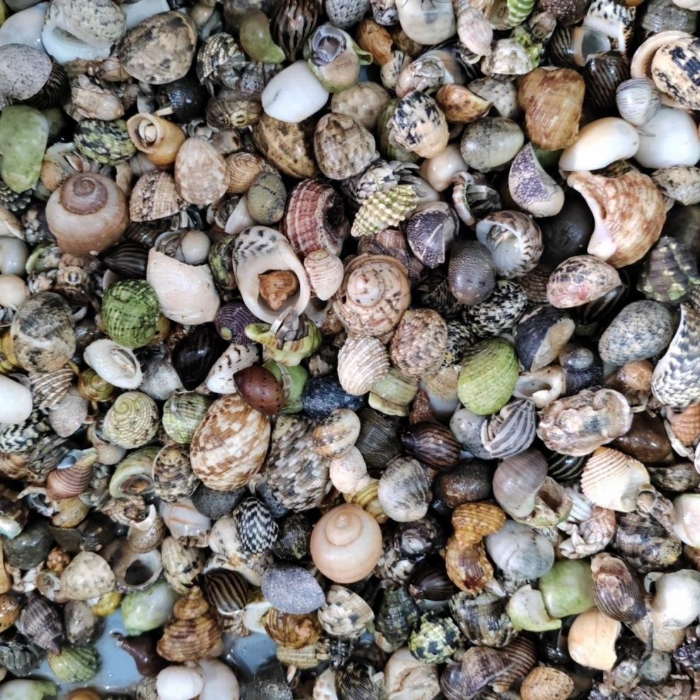 5646e5d1-8879-4c55-955b-bfe4b1b5c98c.jpe